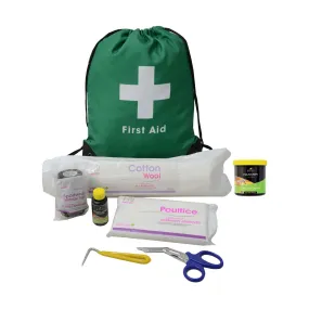 Lincoln First Aid Travel Bag